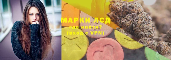 стафф Богородск