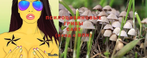 ECSTASY Белоозёрский