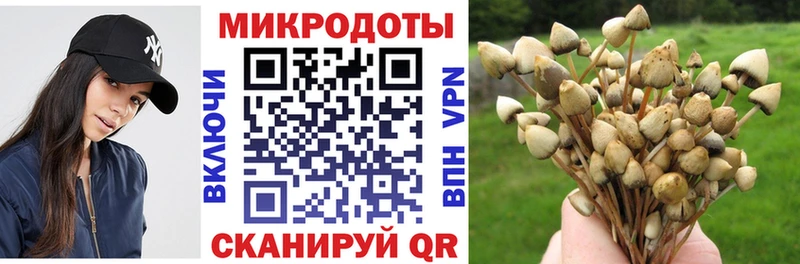 ОМГ ОМГ как зайти  сайты даркнета Telegram  Псилоцибиновые грибы Psilocybine cubensis  Княгинино 